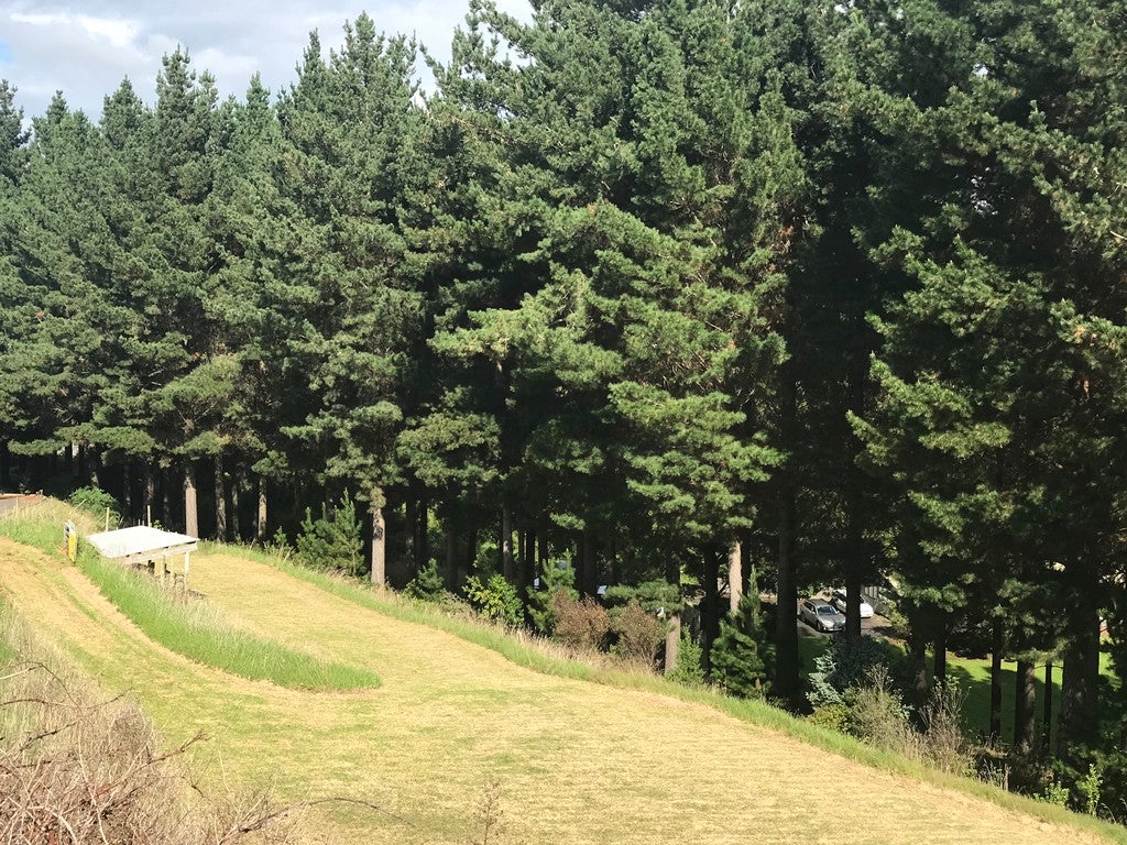 38D Montgomery Road, Westmere, Whanganui - Carousel 2