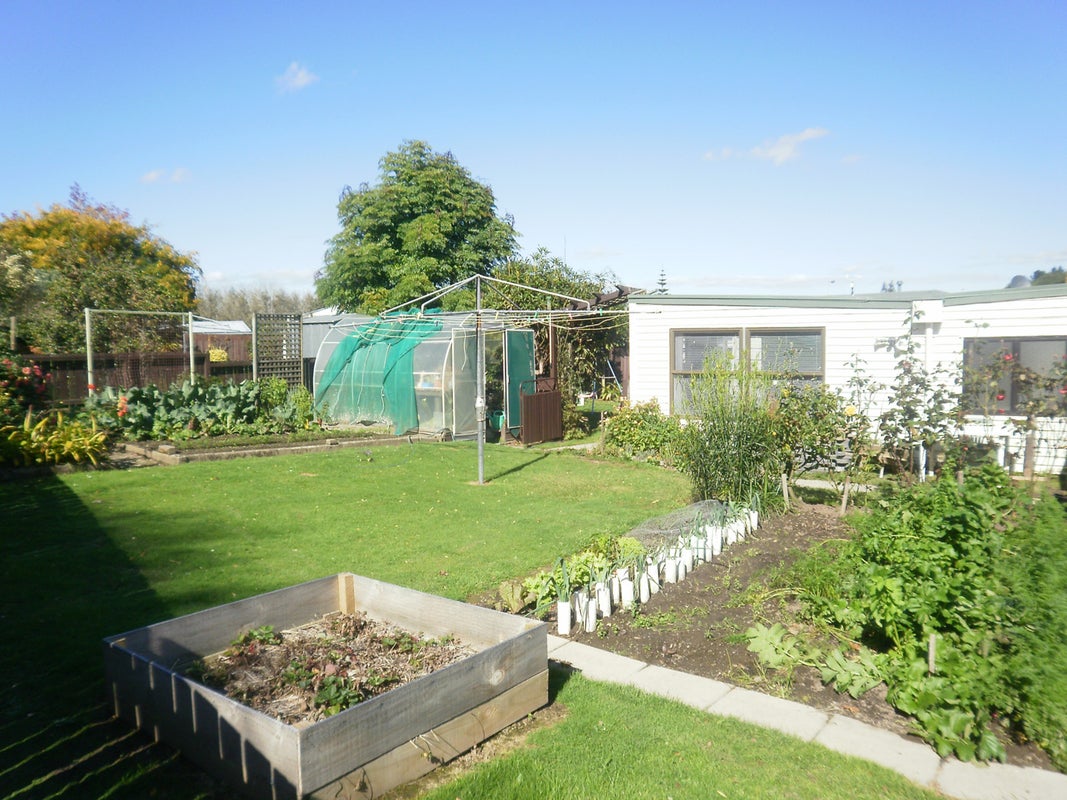 5 Wingate Street, Bader, Hamilton - Carousel 13