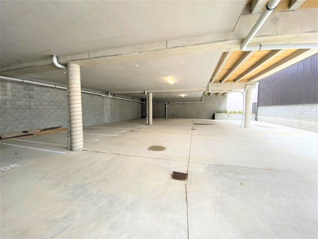 15 Arney Street, Newtown, Wellington - Carousel 12