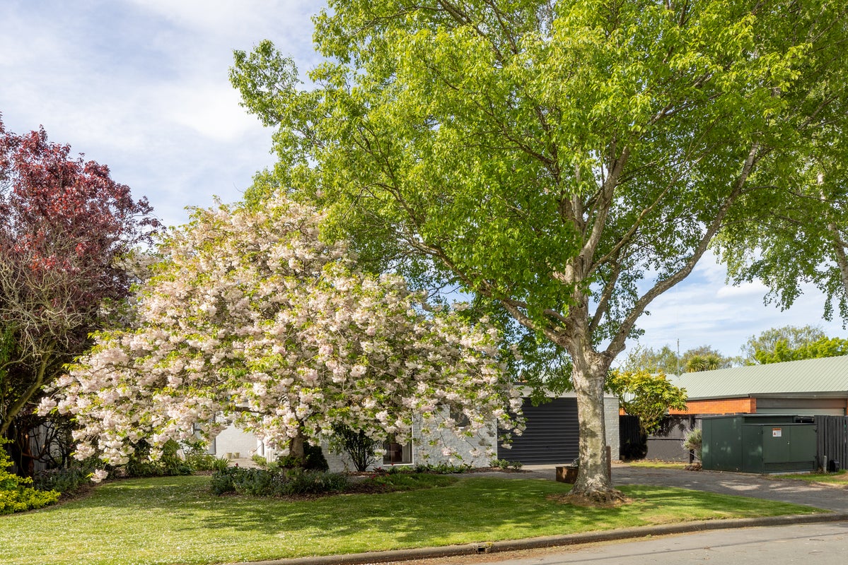 4 Harkness Place, Avonhead, Christchurch - Carousel 23