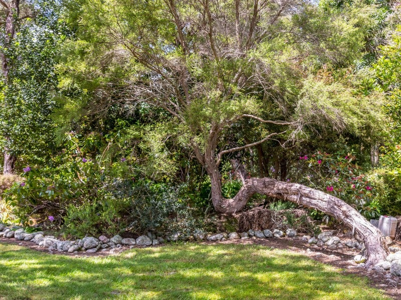 365 Norfolk Road, Waingawa - Carousel 26