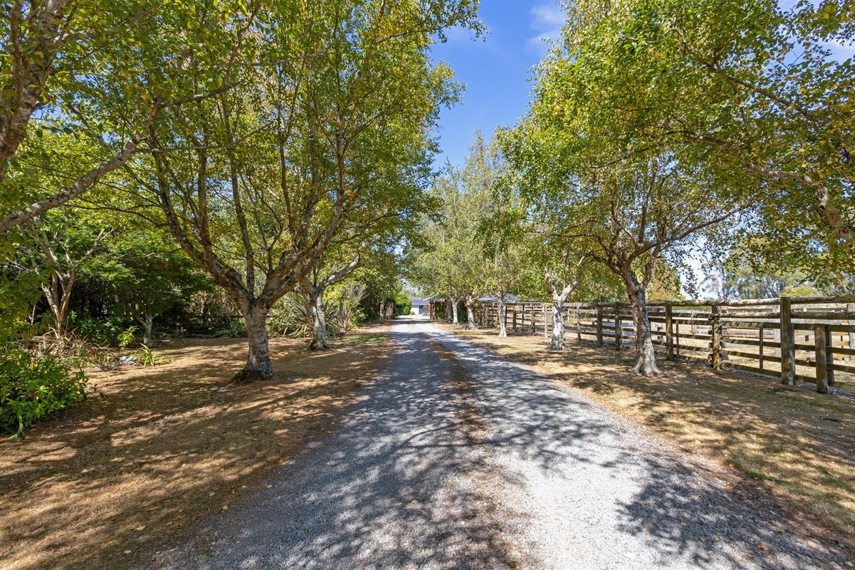 203 West Bush Road, Upper Plain, Masterton - Carousel 22