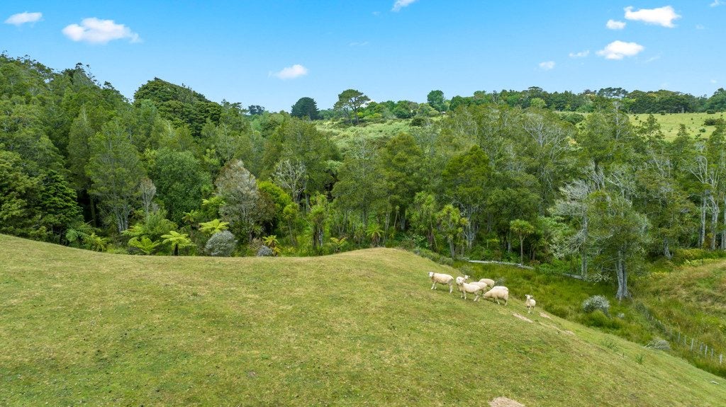 237 Smith Road, Waiuku - Carousel 27
