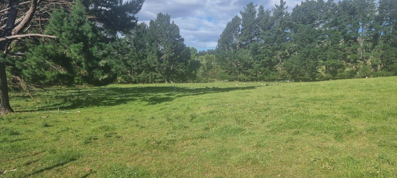 216 Potts Road, Koputaroa, Levin - Carousel 23