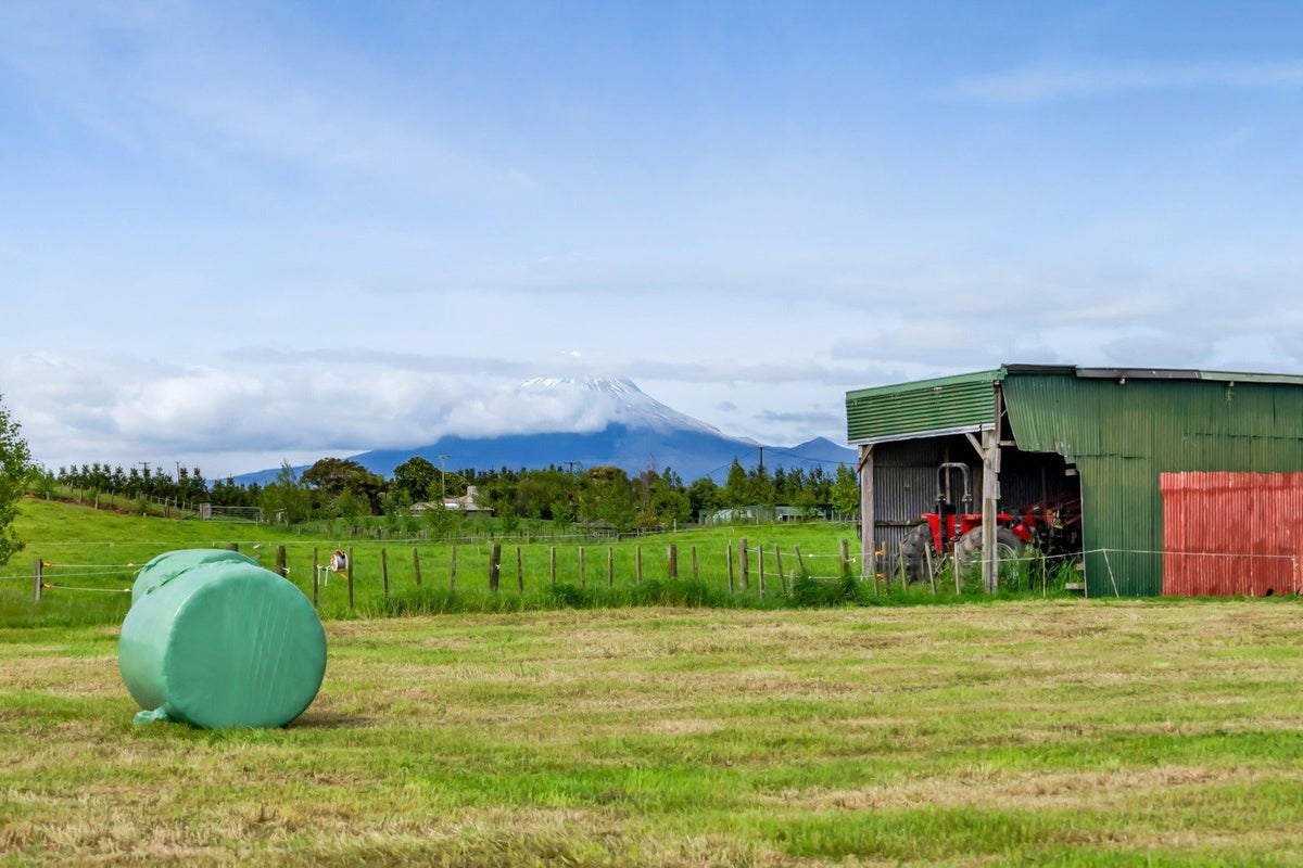 65 Mountain Road, Sentry Hill, New Plymouth - Carousel 2