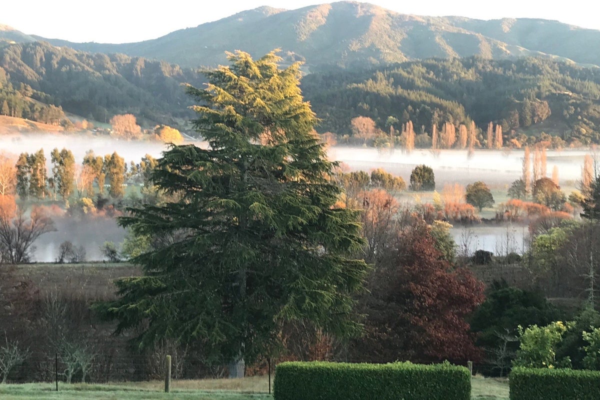 273 College Street, Motueka - Carousel 30