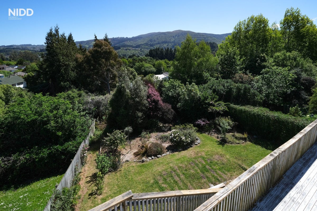 53 Hillary Street, Liberton, Dunedin - Carousel 17