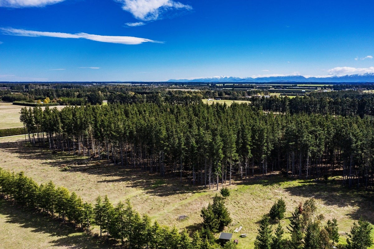 752 Downs Road, Eyrewell, West Eyreton - Carousel 11