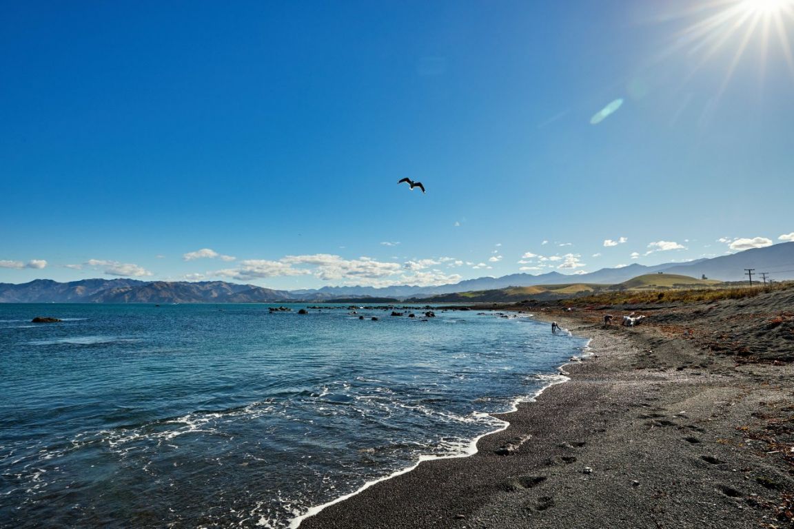 41 Kotare Place, South Bay, Kaikoura - Carousel 34
