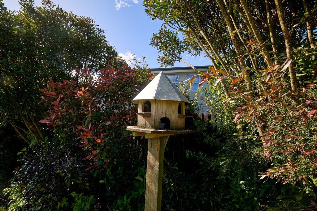 40 Kotuku Road, South Bay, Kaikoura - Carousel 50