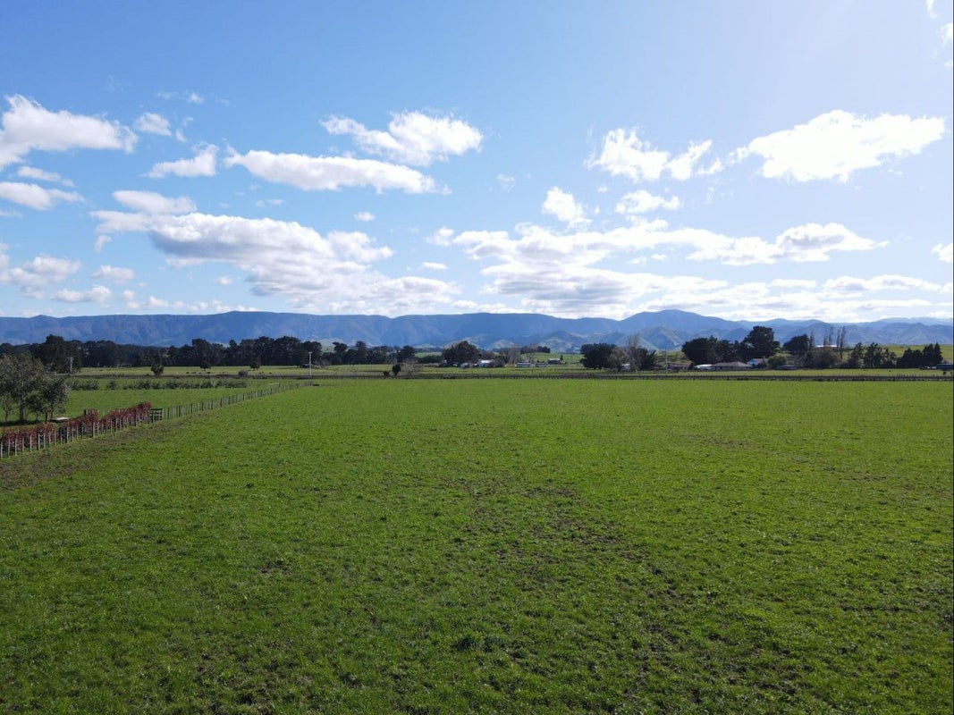 77068 State Highway 2, Dannevirke, Dannevirke - Carousel 1
