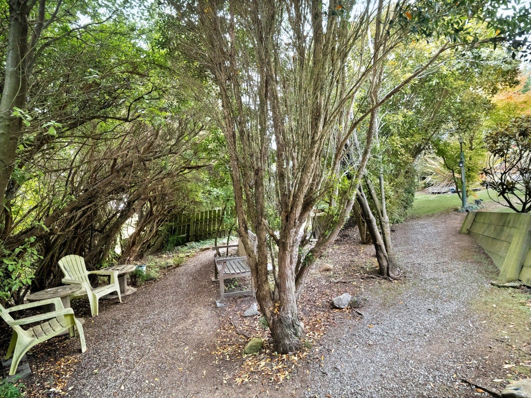 21 Wray Street, Brockville, Dunedin - Carousel 21