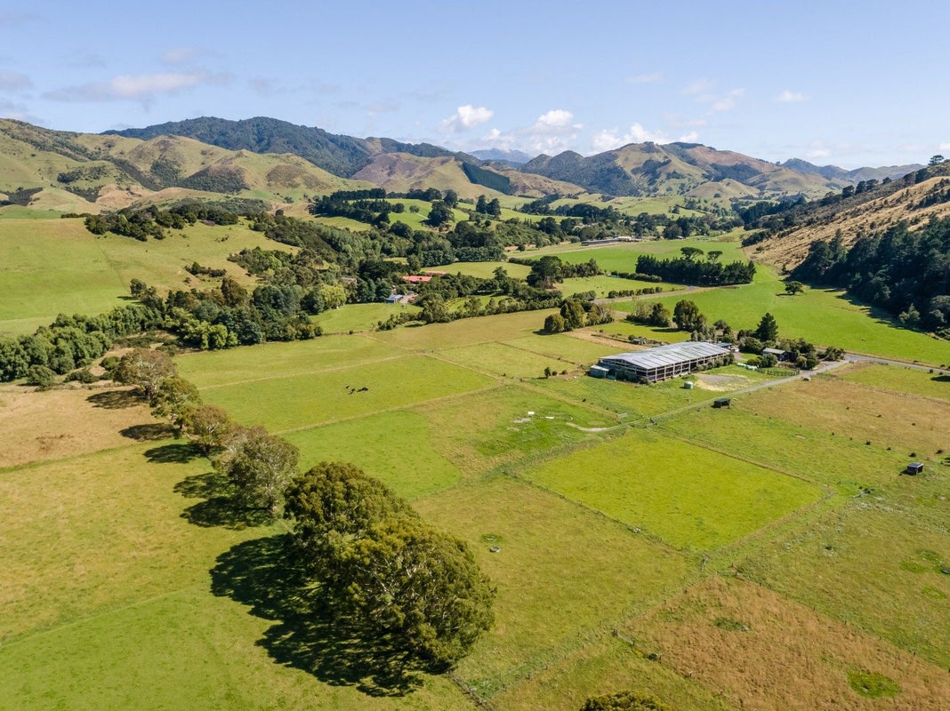 89 Hinau Gully Road, Carrington - Carousel 20