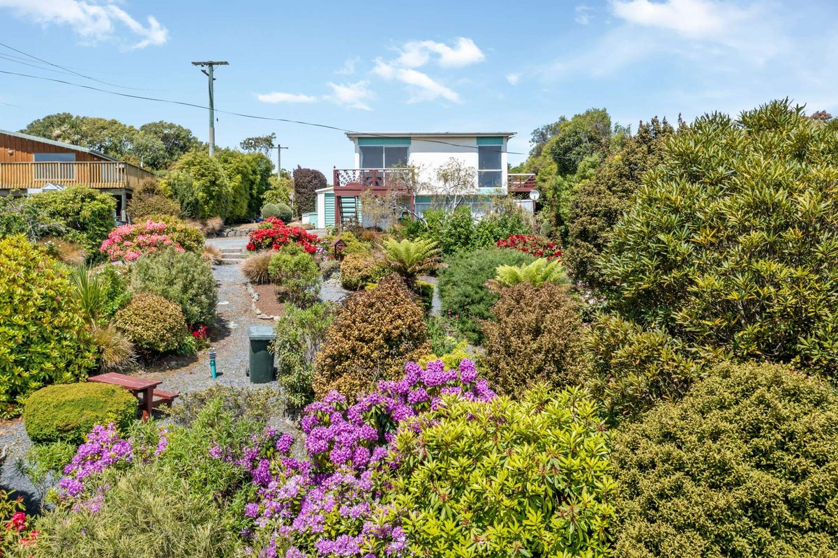 31 Rata Street, Balclutha - Carousel 20