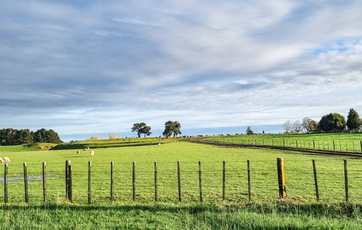 0 Koputaroa Road, Koputaroa, Shannon - Carousel 2