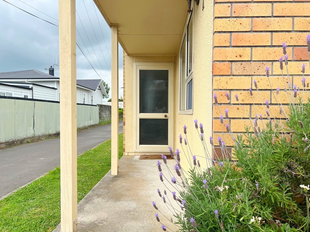 147A Nixon Street, Hamilton East, Hamilton - Carousel 2