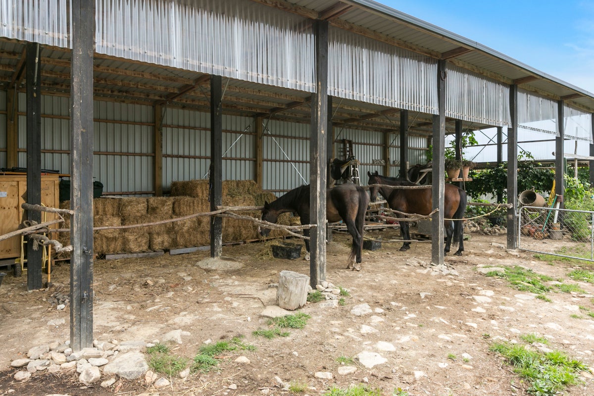 800 Mount Cargill Road, Mount Cargill, Waitati - Carousel 20
