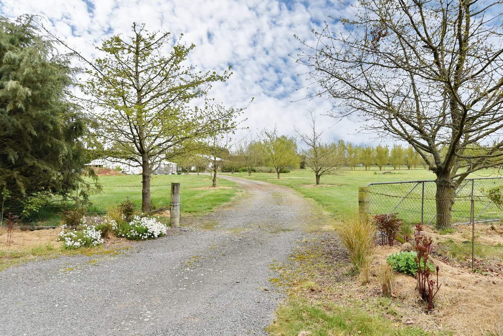 407 Pesters Road, Eyrewell Forest, West Eyreton - Carousel 20