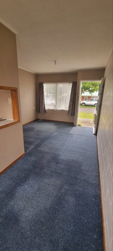 3C James Street, Victoria, Rotorua - Carousel 2