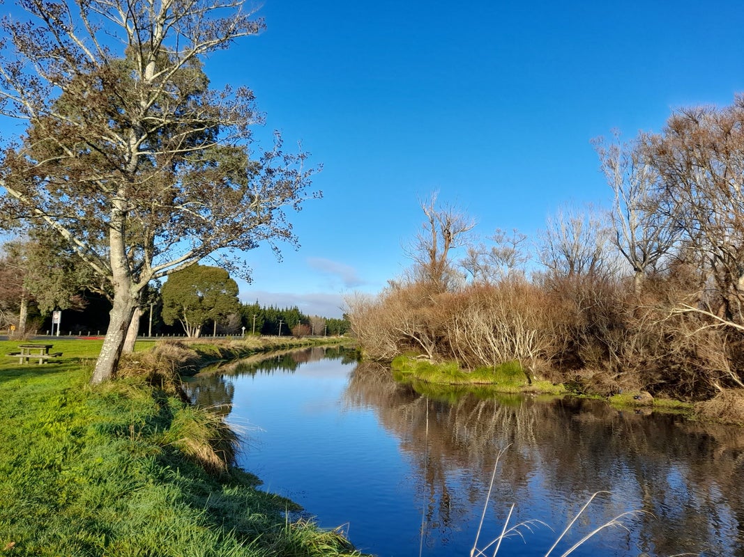 294 Lower Styx Road, Spencerville, Christchurch - Carousel 2
