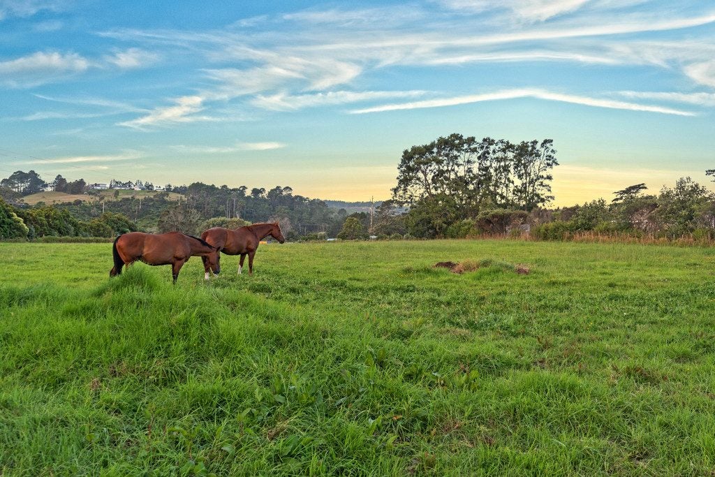 281 Riverhead Road, Riverhead, Riverhead - Carousel 2