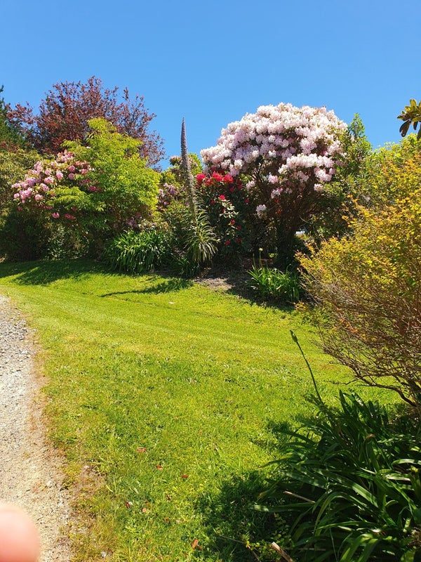 495 Towai Road, Dannevirke - Carousel 24