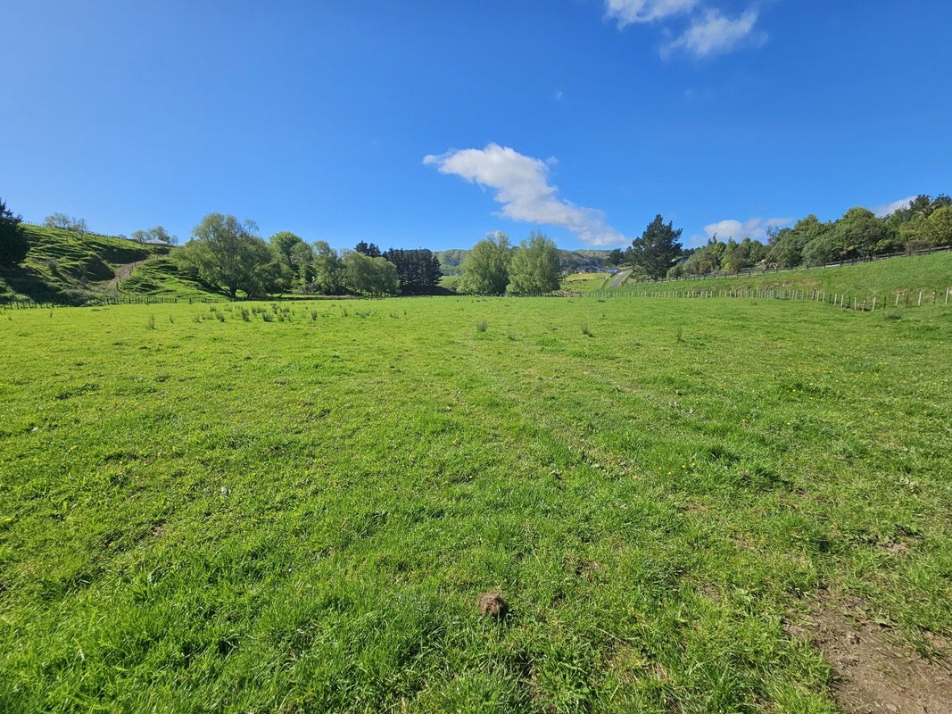 9 Buckley Road, Shannon, Palmerston North - Carousel 1