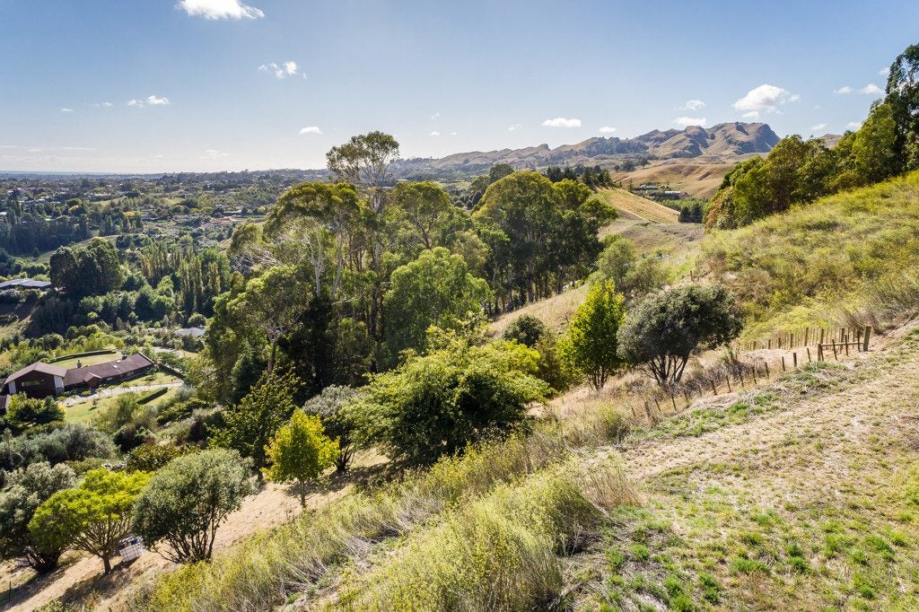 121 Endsleigh Drive, Havelock North, Havelock North - Carousel 2