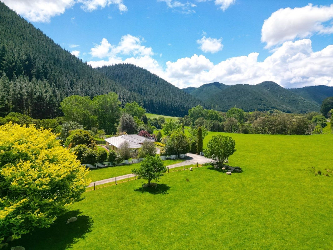 1161 State Highway 4, Parikino, Whanganui - Carousel 21