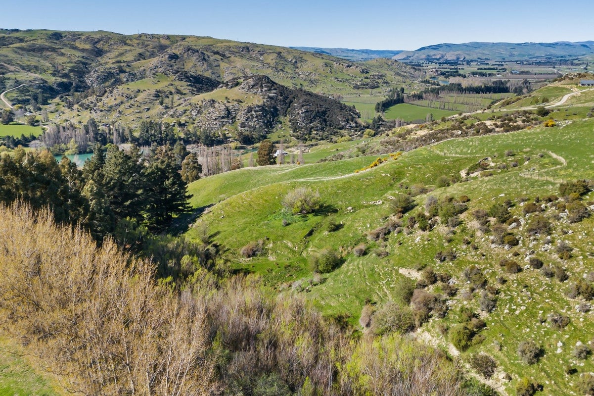 0 State Highway 12, Waima, Kaikohe - Carousel 10