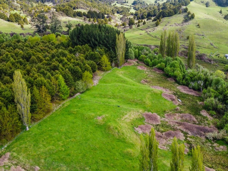 946 Taringamotu Road, Taringamotu, Taumarunui - Carousel 5