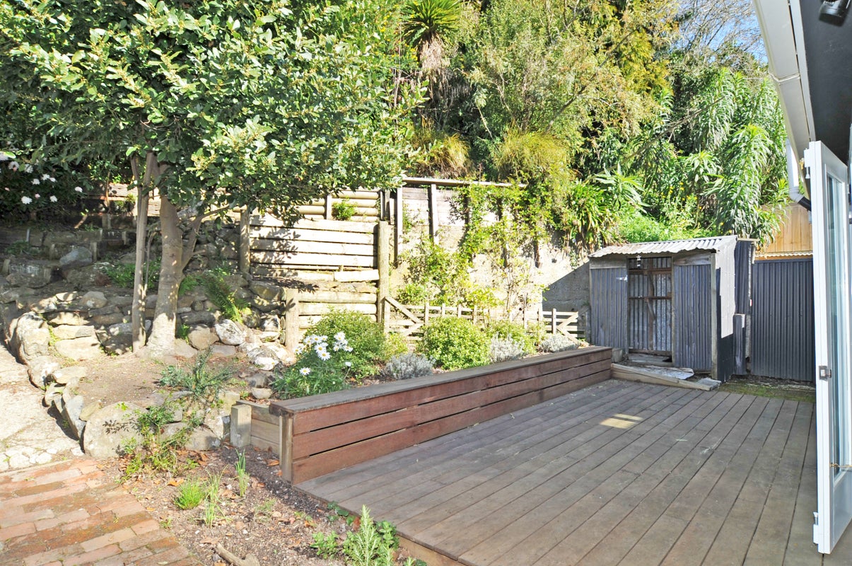 19 Serpentine Avenue, Dunedin Central, Dunedin - Carousel 11