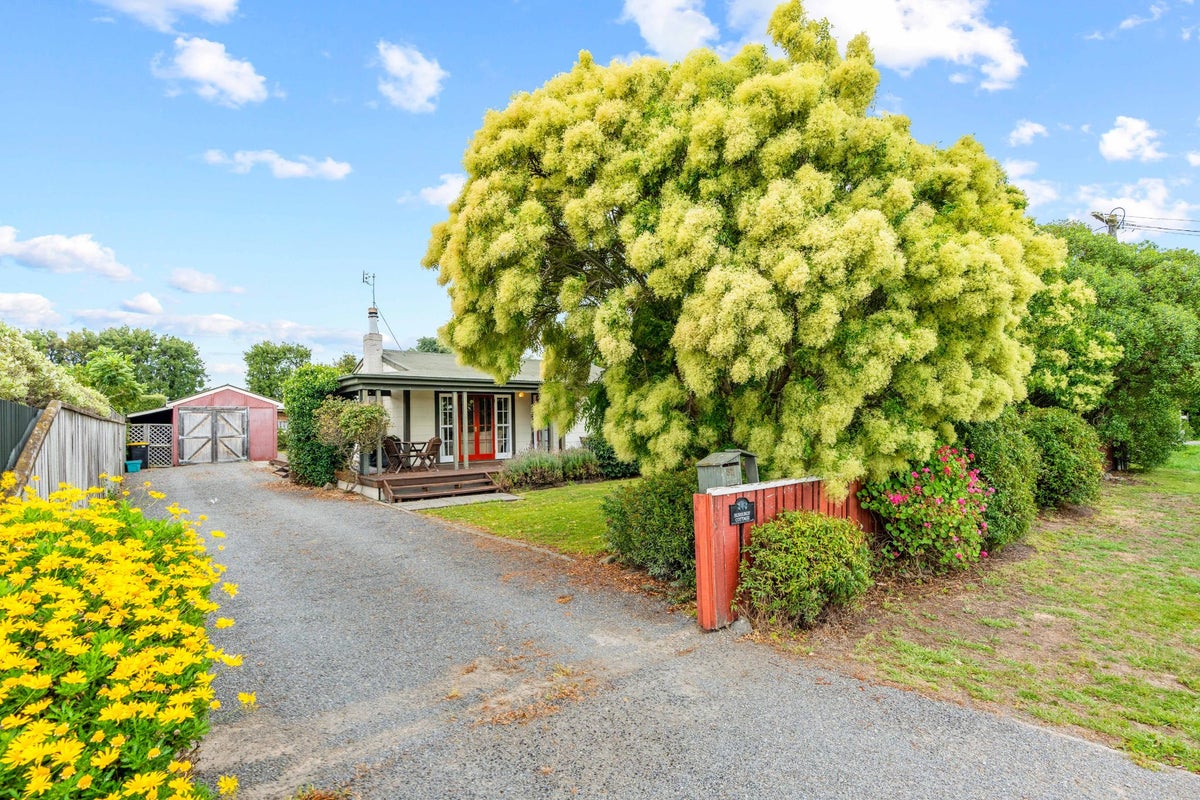 52 Princess Street, Martinborough - Carousel 24