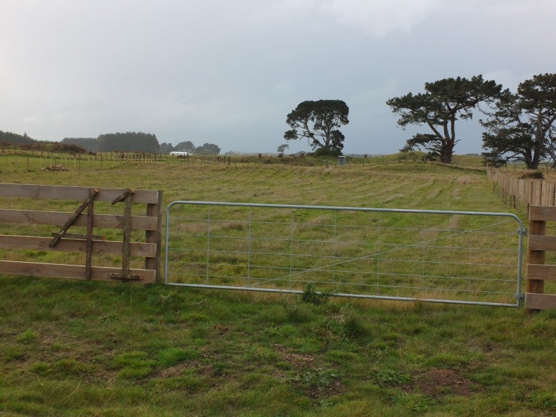 41 Totara Park Road, Foxton, Foxton - Carousel 2