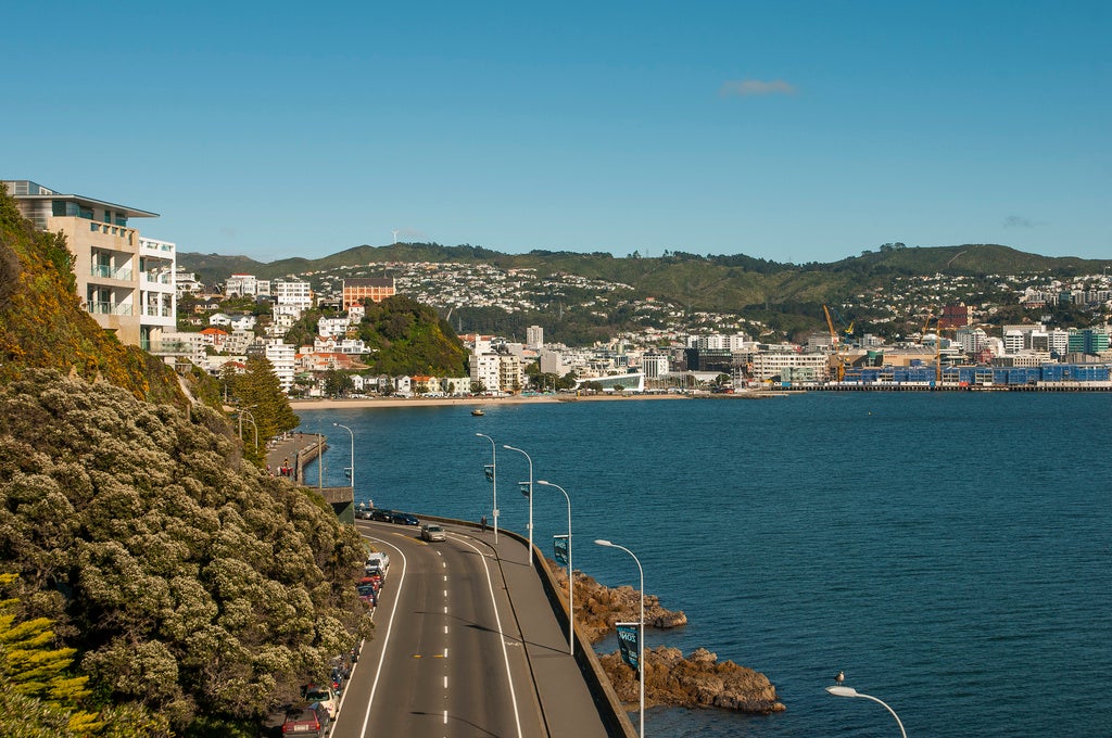 8 Carlton Gore Road, Roseneath, Wellington - Carousel 17