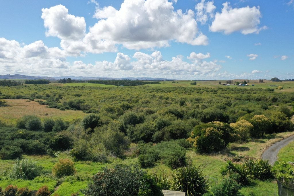 37 Heather Green Avenue, Meremere - Carousel 19
