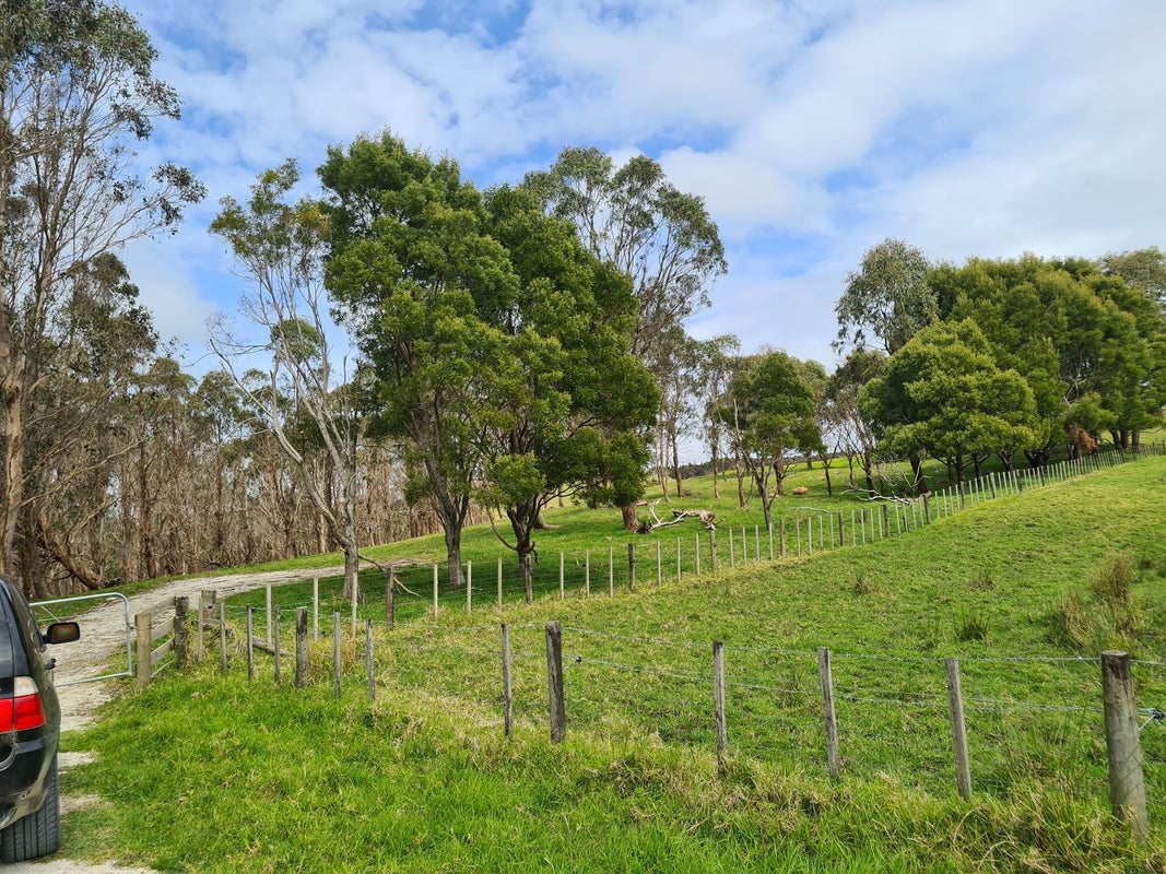 54 Hall Road, Matakohe - Carousel 2