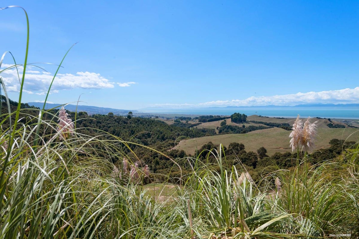 149A Rataroa Road, Pukorokoro / Miranda, Kaiaua - Carousel 2