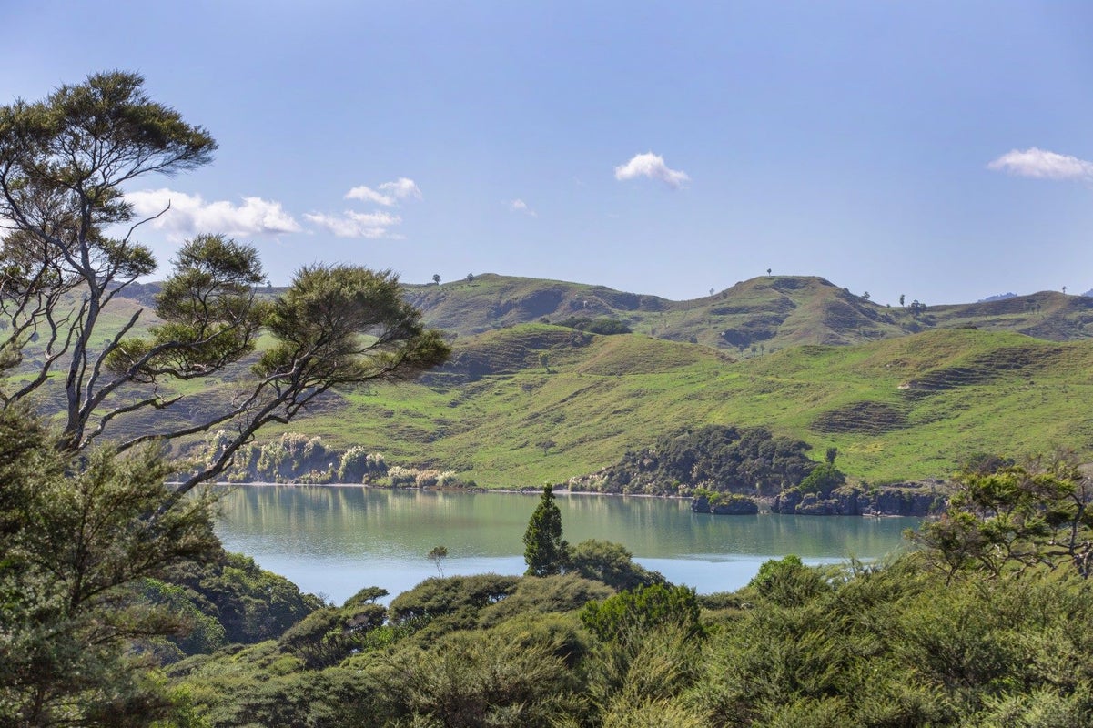 578 Te Akau Wharf Road, Ngaruawahia - Carousel 2