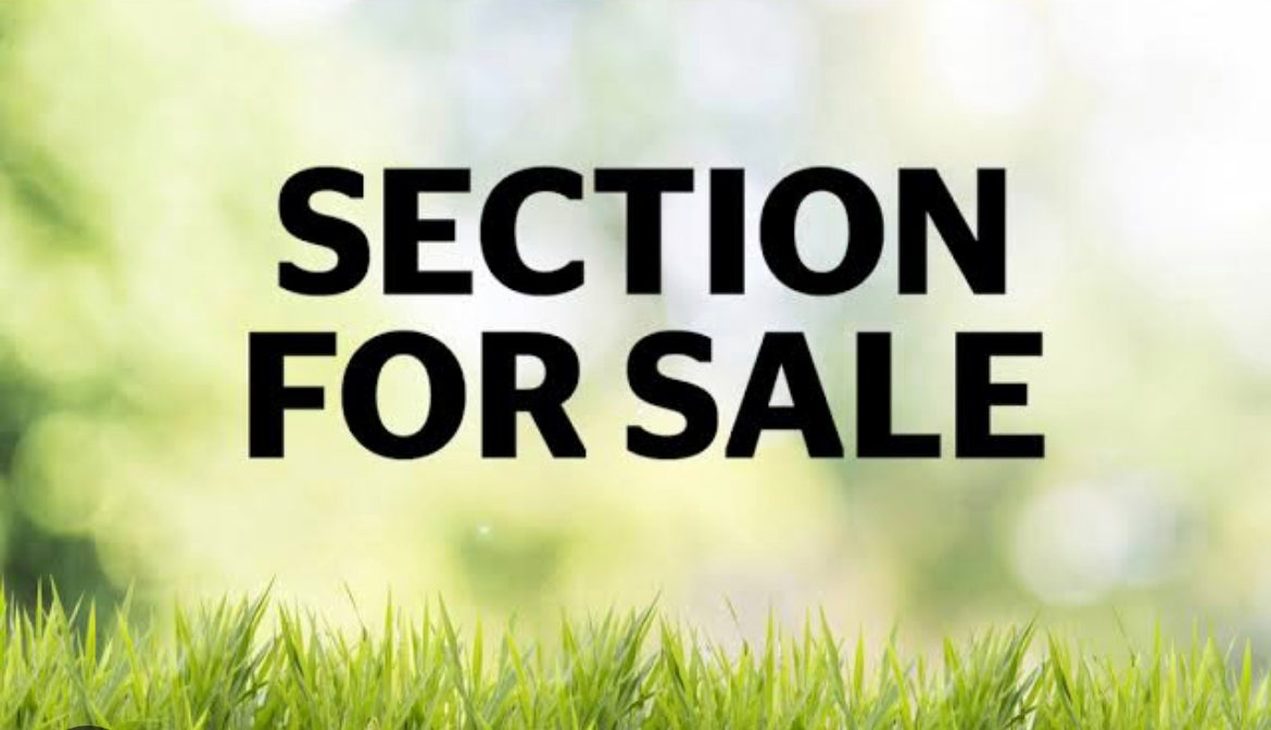 14 Pirihonga Road, Flat Bush, Auckland - Carousel 2