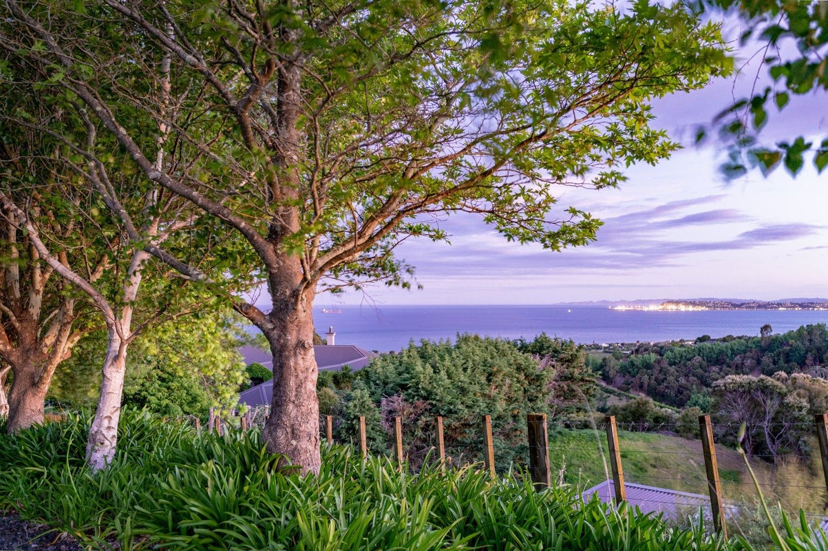 175 Kaimata Road, Bay View, Napier - Carousel 36