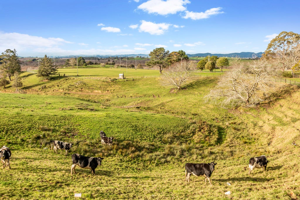 49 Te Puea Avenue, Meremere, Mercer - Carousel 20