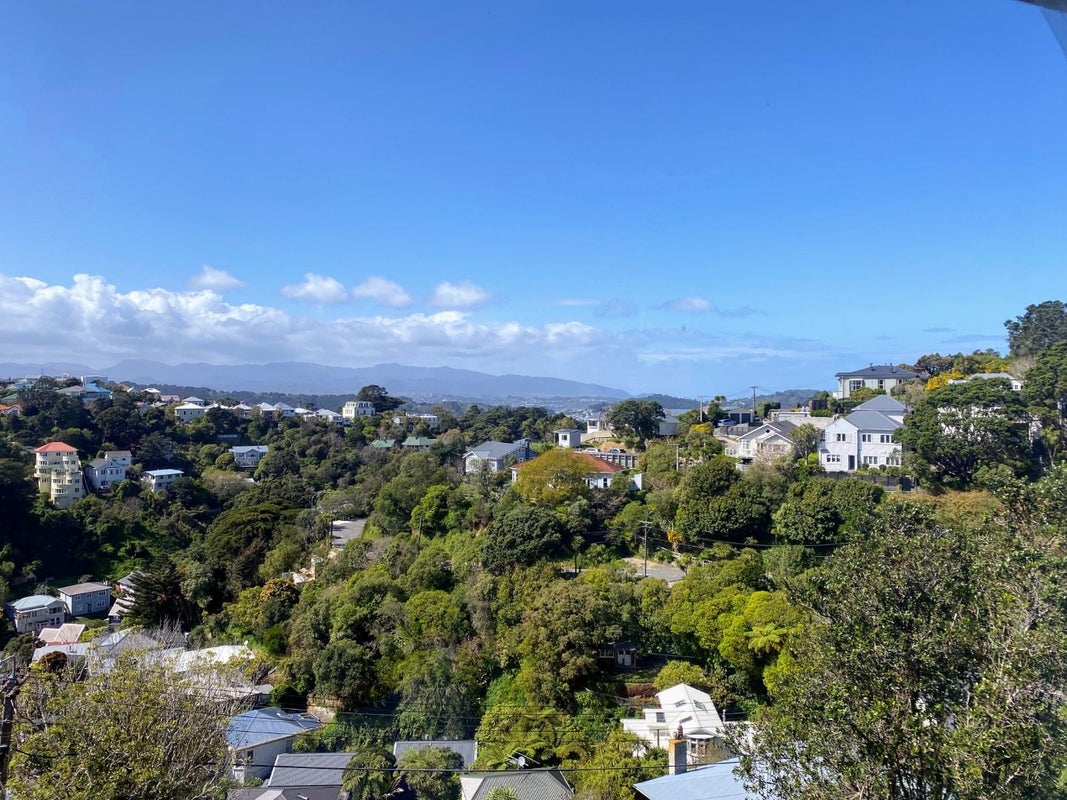 52C Raroa Road, Kelburn, Wellington - Carousel 2