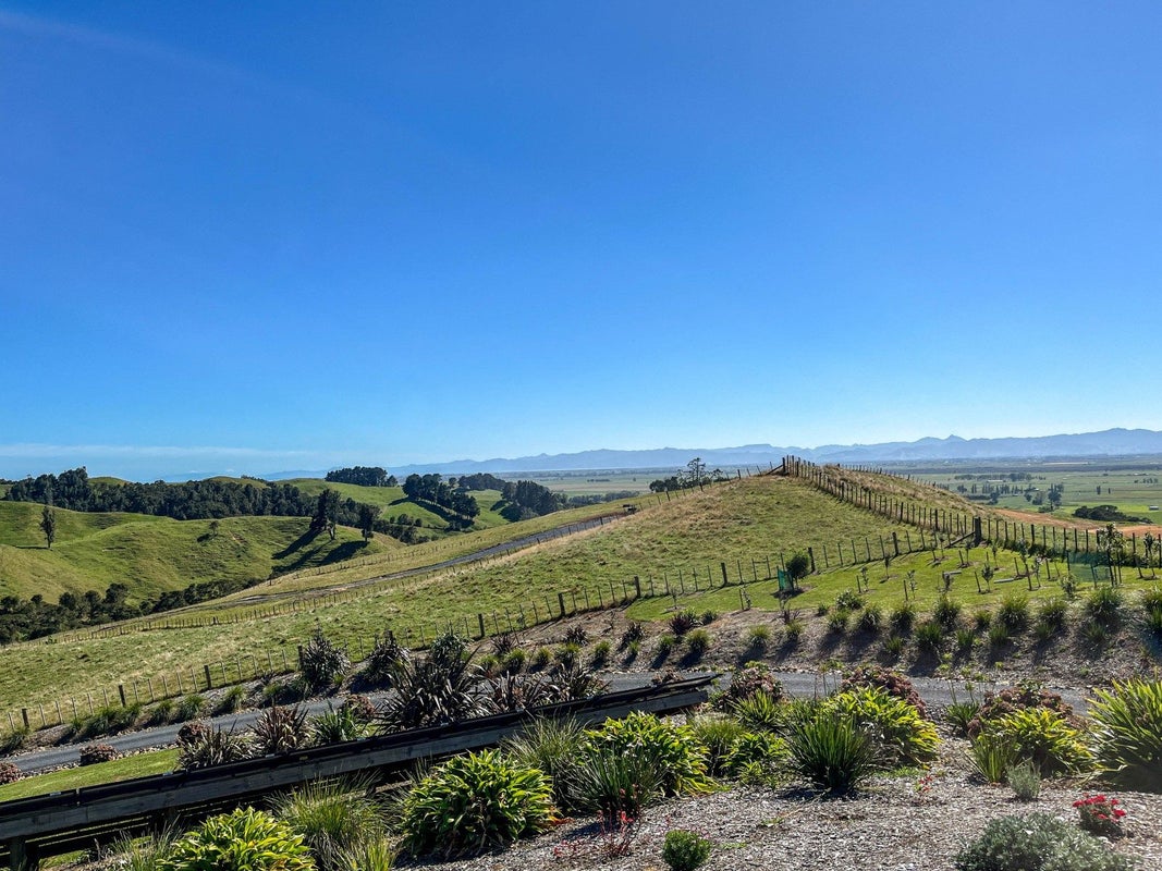169 Torehape Road West, Kaihere, Ngatea - Carousel 2