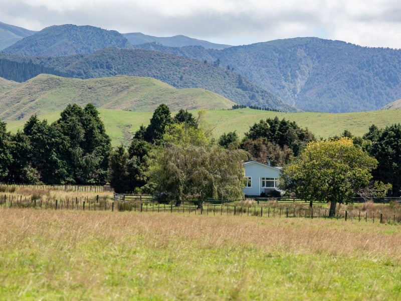 487 France Road, Matamau - Carousel 2