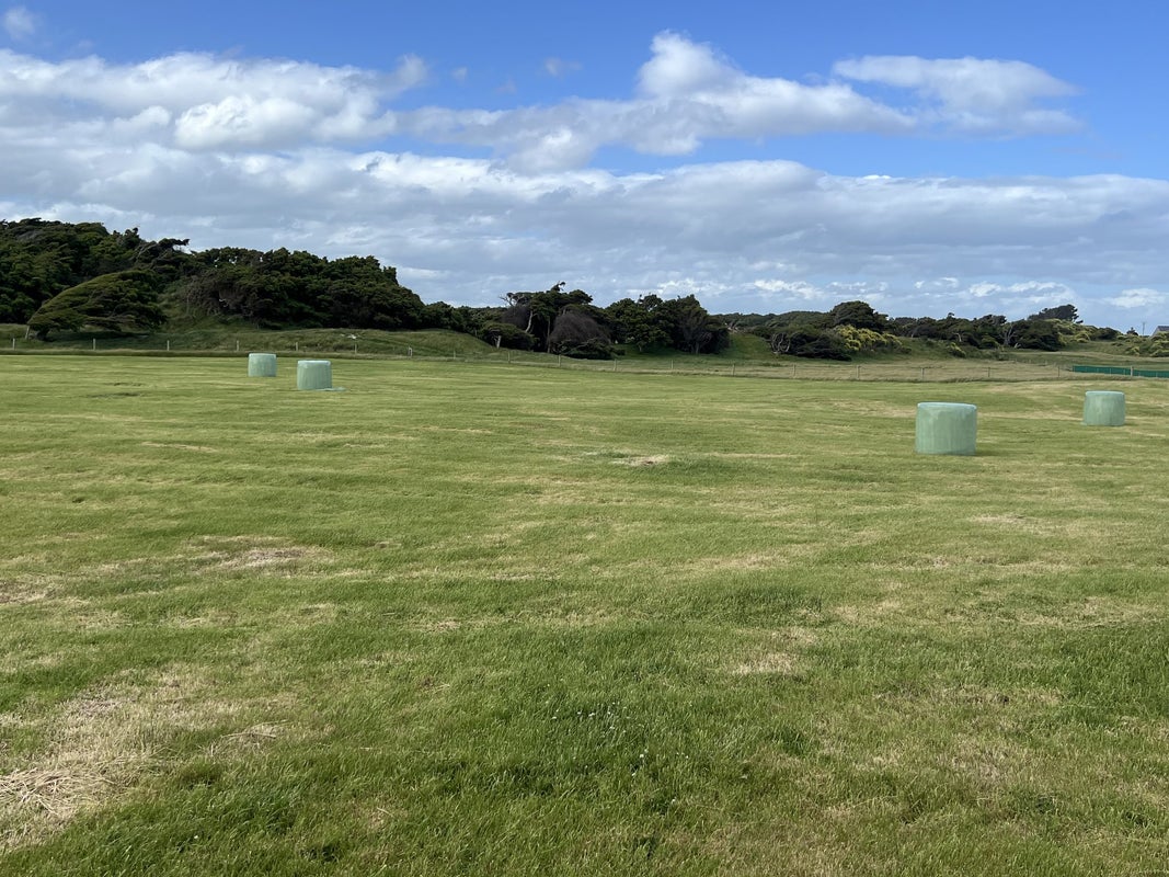 418 Oreti Road, Otatara - Carousel 6