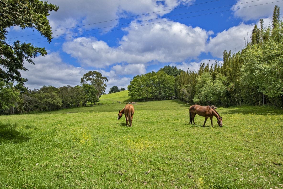 174 Carruth Road, Whangarei - Carousel 16
