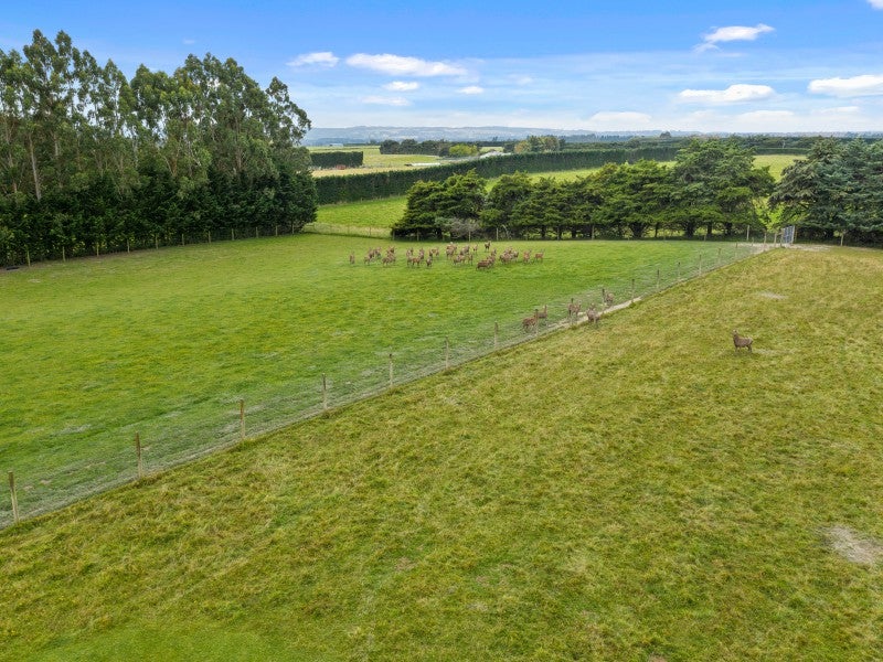 559 Mairaki Road, Fernside, Rangiora - Carousel 26