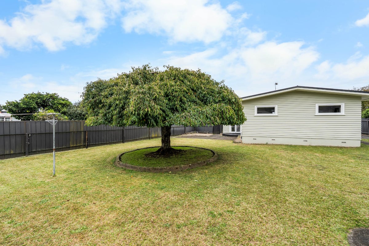 41 Fitzroy Avenue, Fitzroy, Hamilton - Carousel 21