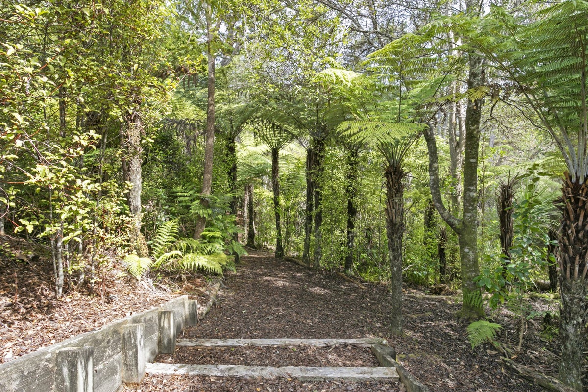 11 Amber Glen, Albany, Auckland - Carousel 2